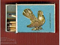 Collectible Matches match PIGEON - 2