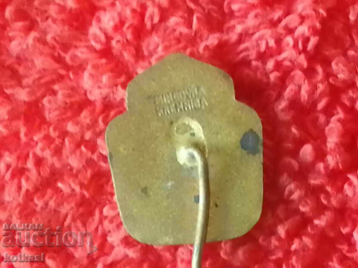Old social metal pin badge Czechoslovakia. CSSR - 5 Old social metal pin badge Czechoslovakia. CSSR - 5