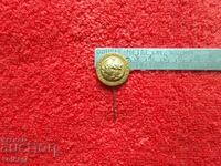Old Social Metal Badge Pin DISTRICT HIST. MUZEUL TOLBUHIN