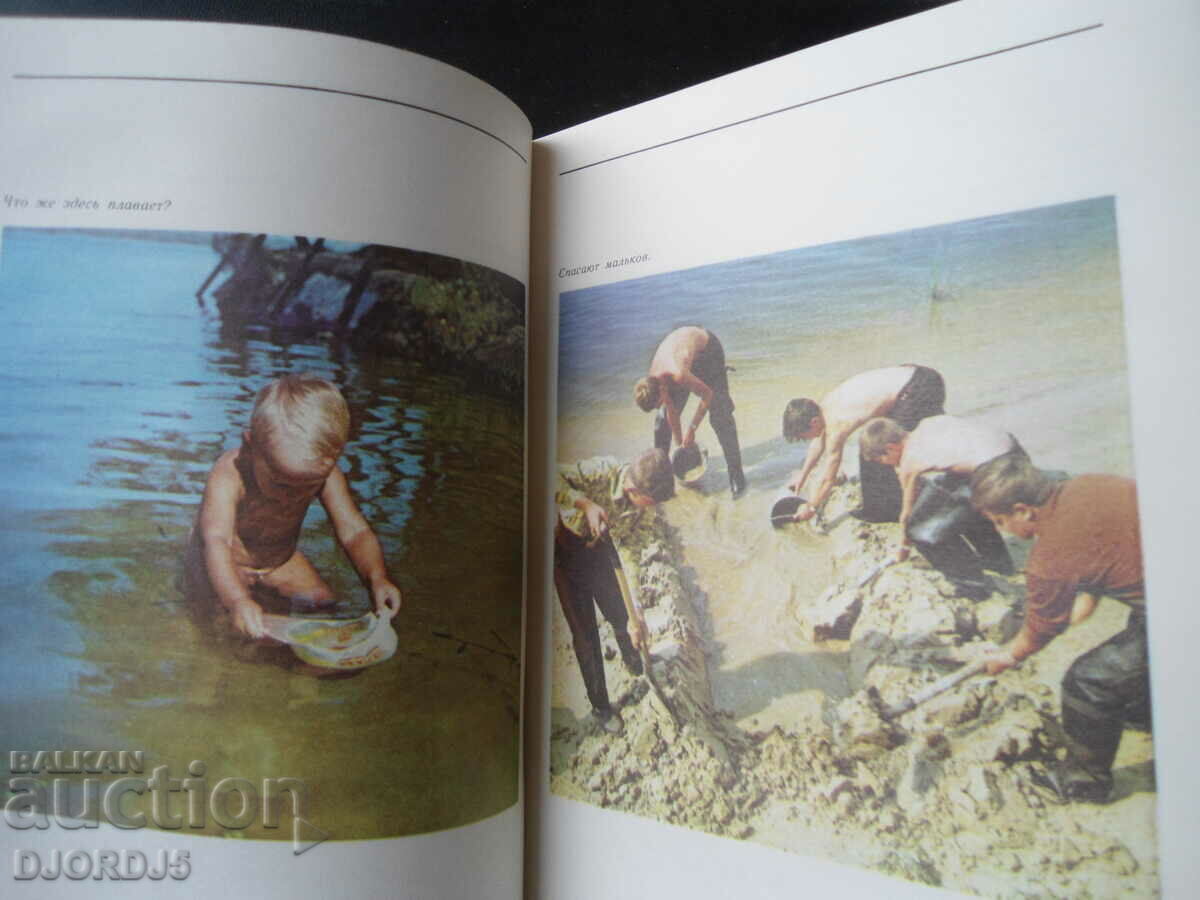 Amateur fishing with price 5.00 BGN | € 2.56 Amateur fishing with price 5.00 BGN | € 2.56