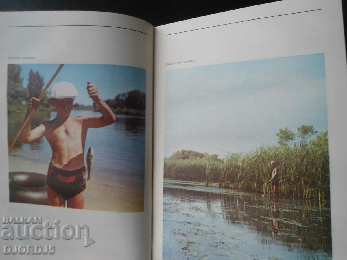 Auction Amateur fishing Auction Amateur fishing