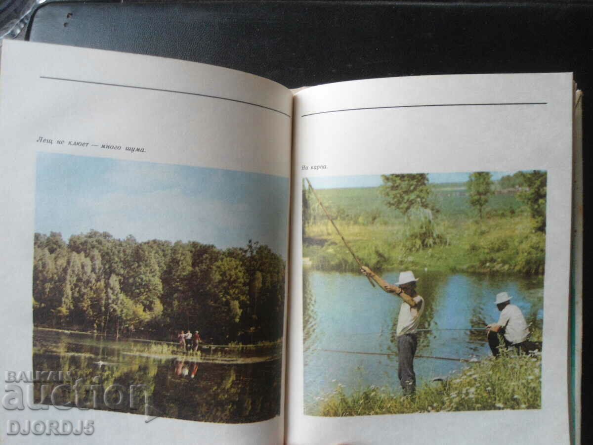 Amateur fishing - 5 Amateur fishing - 5