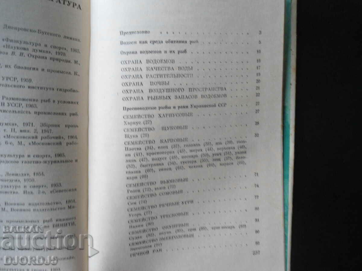 Amateur fishing - 6 Amateur fishing - 6