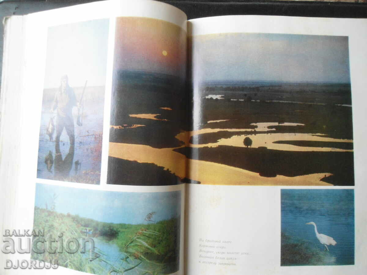 Delivery of HUNTING Delivery of HUNTING