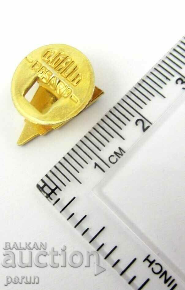 Delivery of Argentina-Argentine Badge-Old Buttonel-Enamel Delivery of Argentina-Argentine Badge-Old Buttonel-Enamel