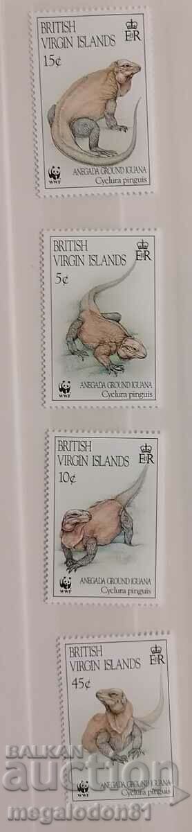 British Virgin Islands - WWF fauna, iguana