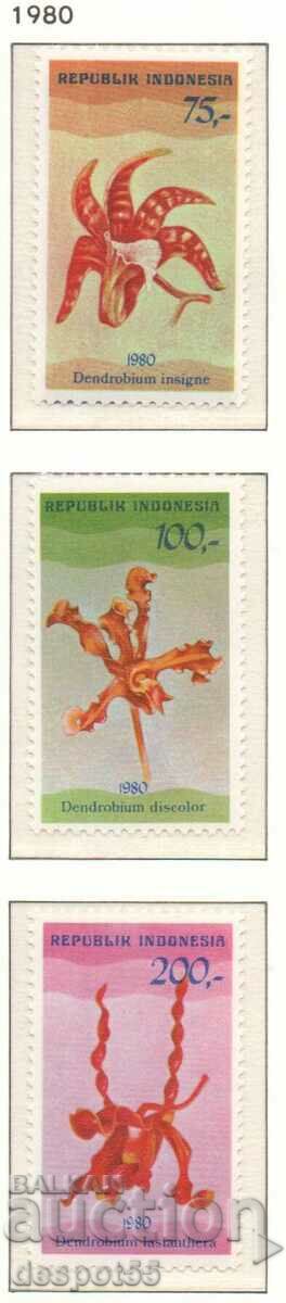 1980. Indonezia. Orhidee.