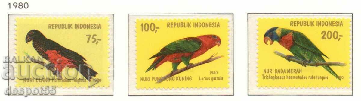 1980. Indonezia. Papagalii.