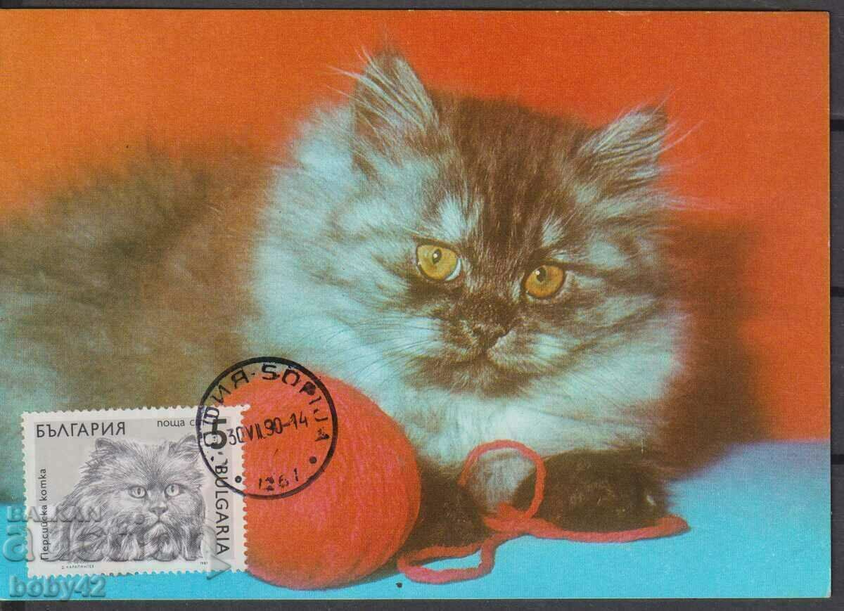 Carduri max. Pisici, timbru data Sofia 1984