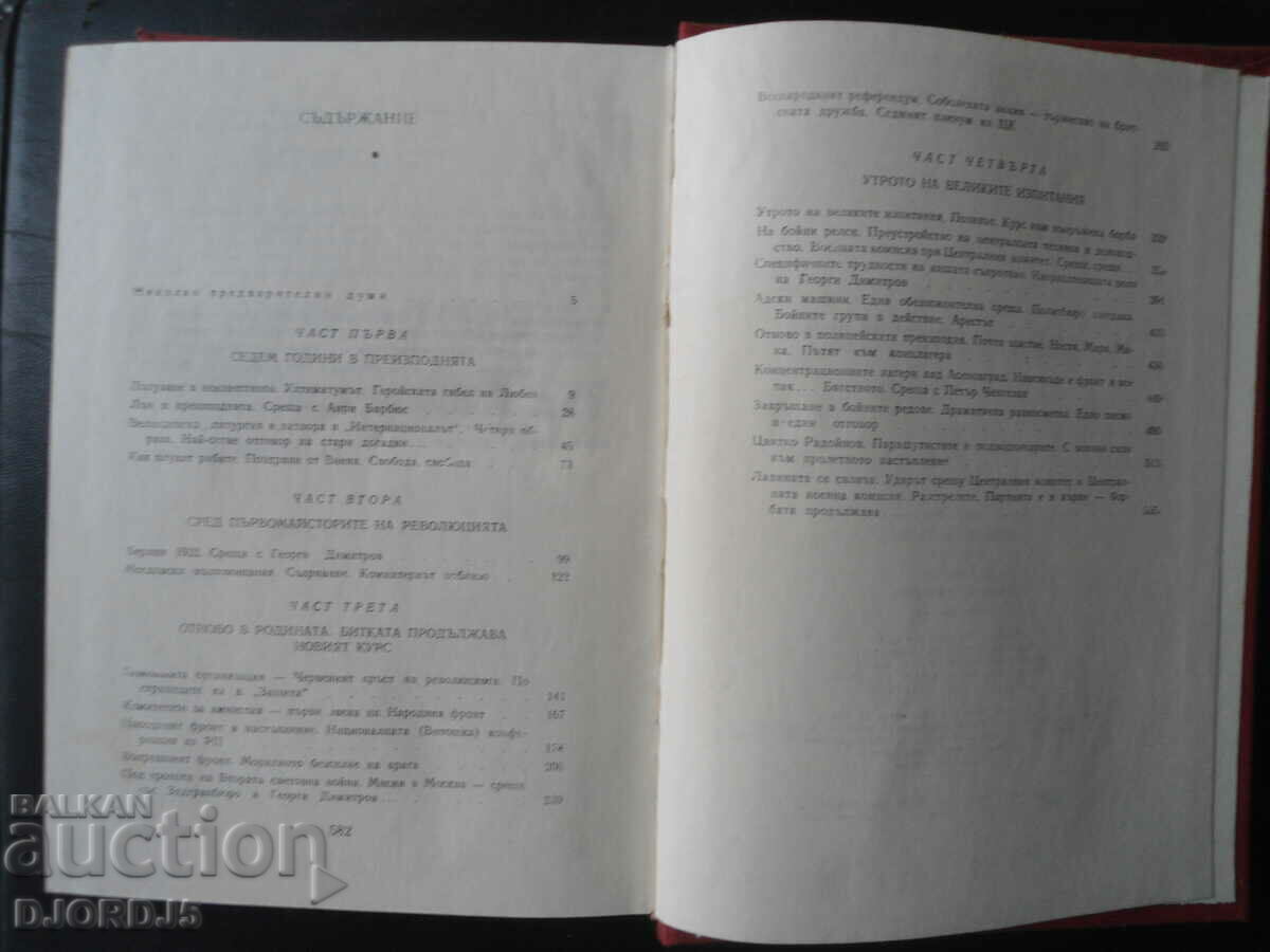 Auction  THE STORM, Command of duty, Tsola Dragoycheva