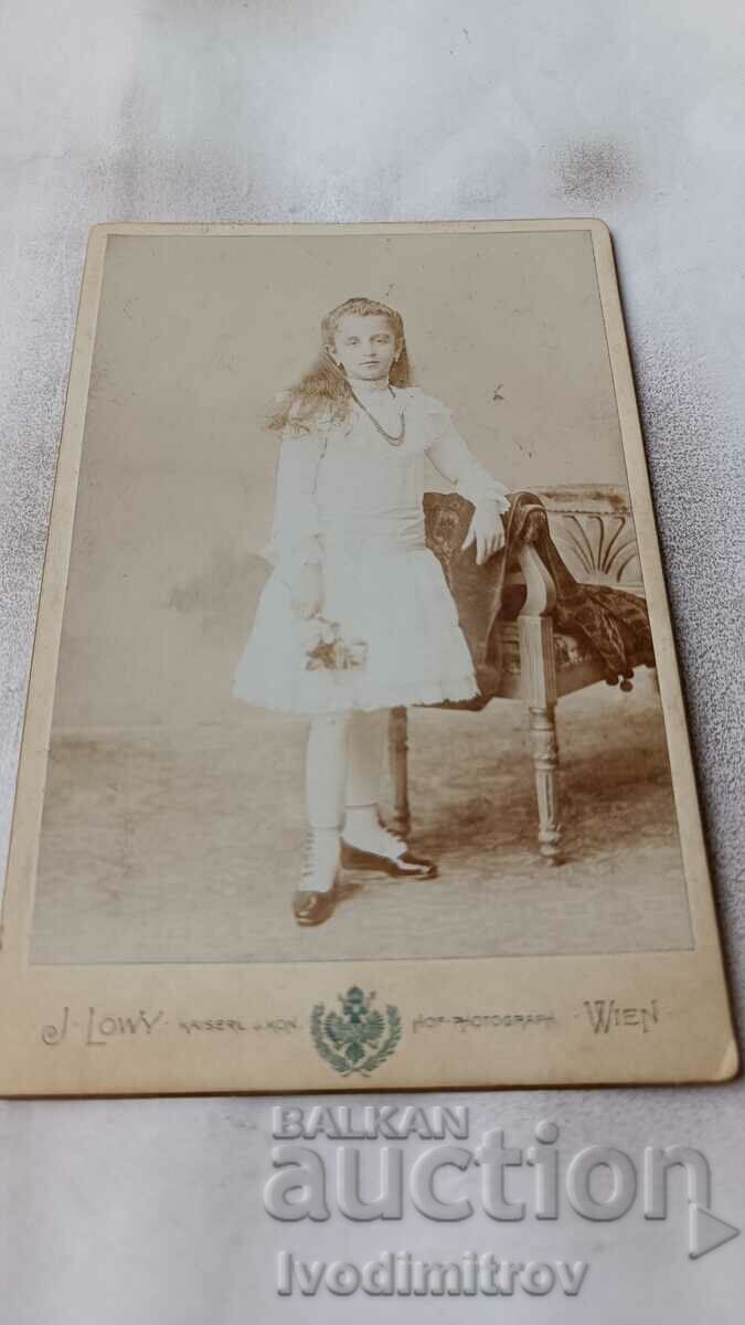 Fotografie Fată tânără într-o rochie albă Carton
