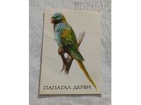 CALENDARUL PARROT DERBY SBH 1990