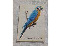 CALENDAR PARROT SBH 1990