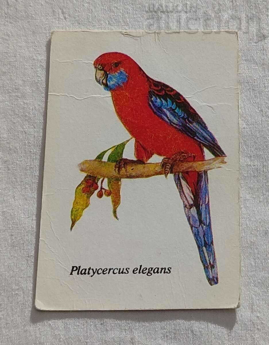 PARROT PLATYCERCUS ELEGANS SBH CALENDAR 1989