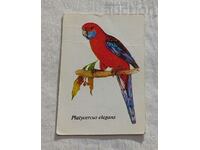 CALENDARUL PARROT PLATYCERCUS ELEGANS SBH 1989