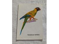 CALENDARUL PARROT NANDAYUS NENDAY SBH 1989