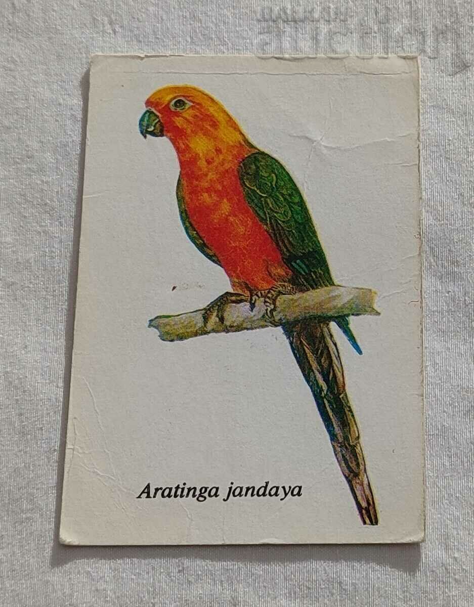 CALENDARUL PARROT ARATINGA JANDAYA SBH 1989