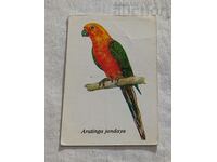 CALENDARUL PARROT ARATINGA JANDAYA SBH 1989