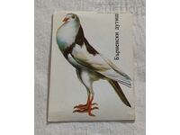 1986 PORUMBEL CALENDAR OLANDEZ BERNEZ.