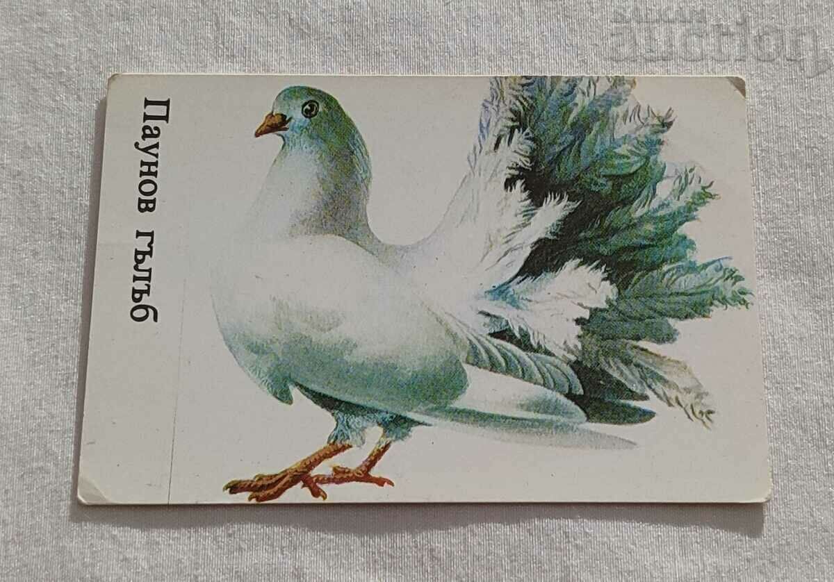 DOVE PEACOCK CALENDAR 1986