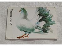 DOVE PEACOCK CALENDAR 1986