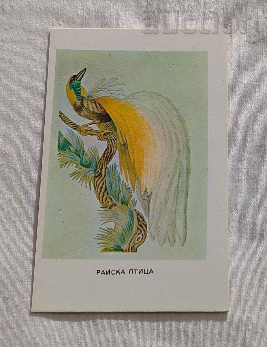 BIRD OF PARADISE CALENDAR 1983