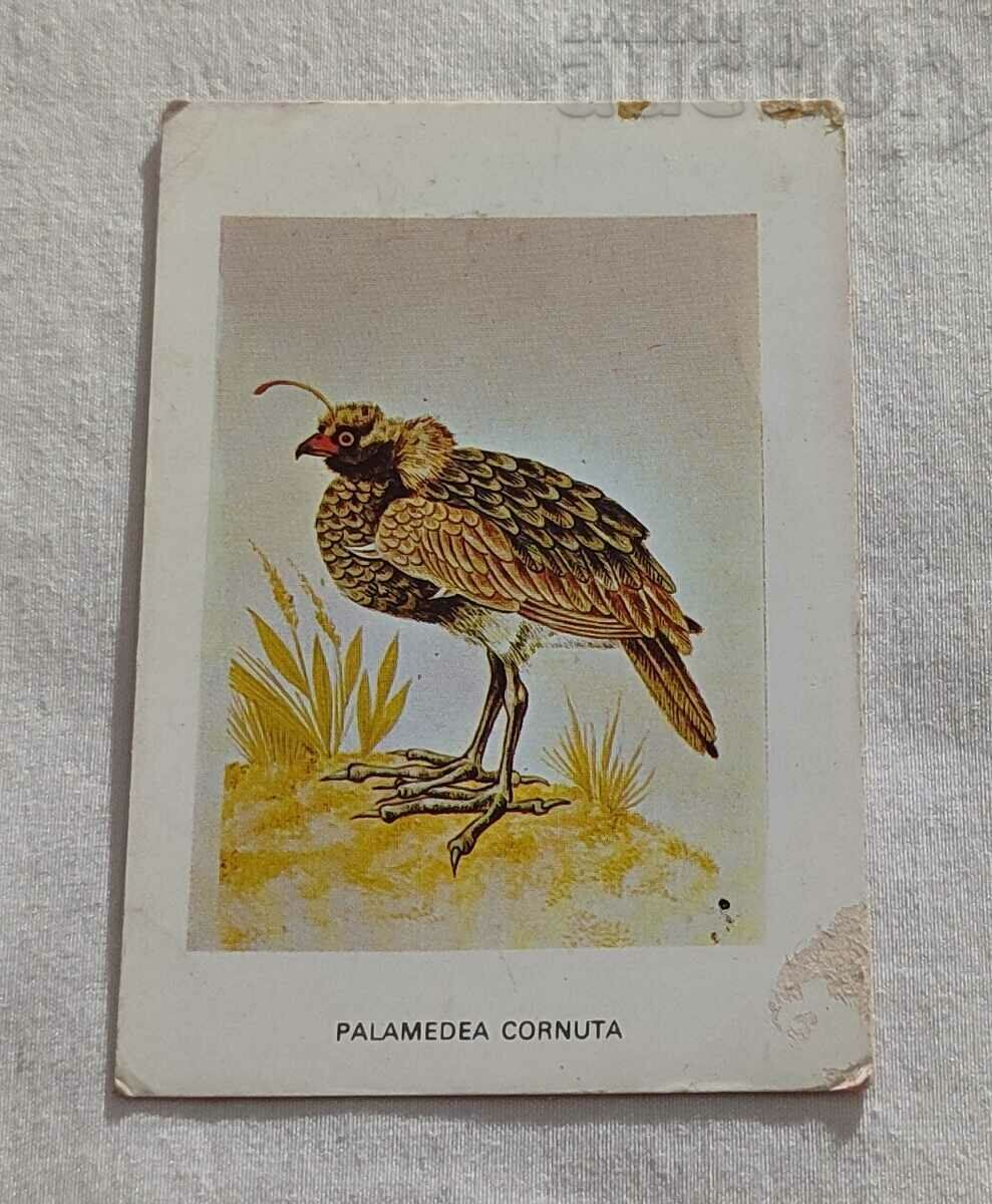 PALAMEDEA CORNUTA CALENDAR 1983