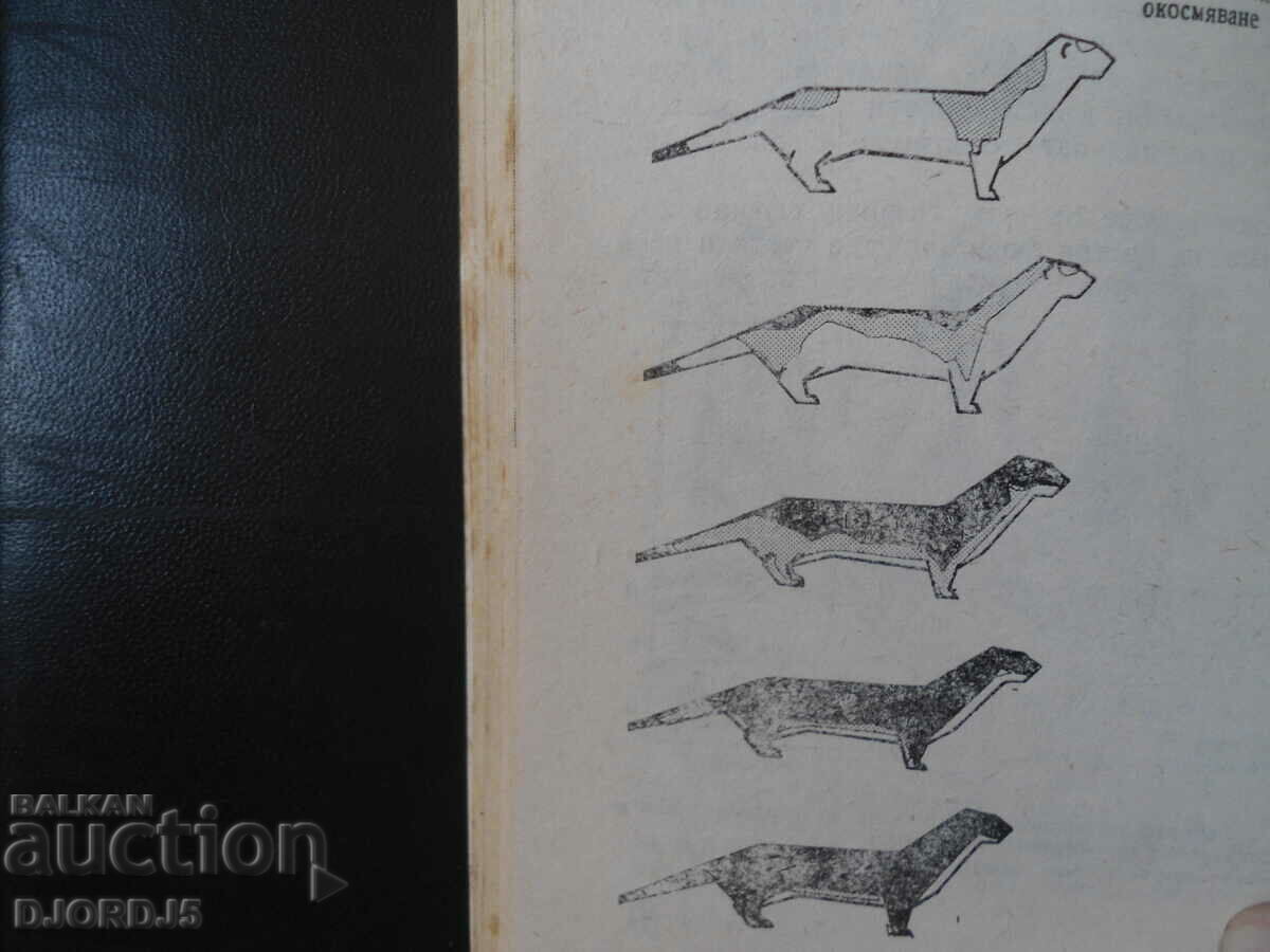 Παιχνιδιάρικα αρπακτικά, Ivan Heran - 5 Παιχνιδιάρικα αρπακτικά, Ivan Heran - 5