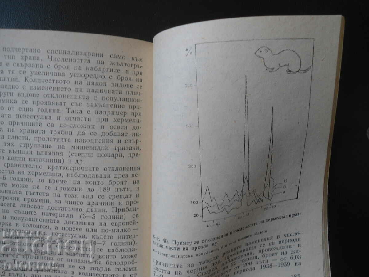 Παιχνιδιάρικα αρπακτικά, Ivan Heran - 6 Παιχνιδιάρικα αρπακτικά, Ivan Heran - 6