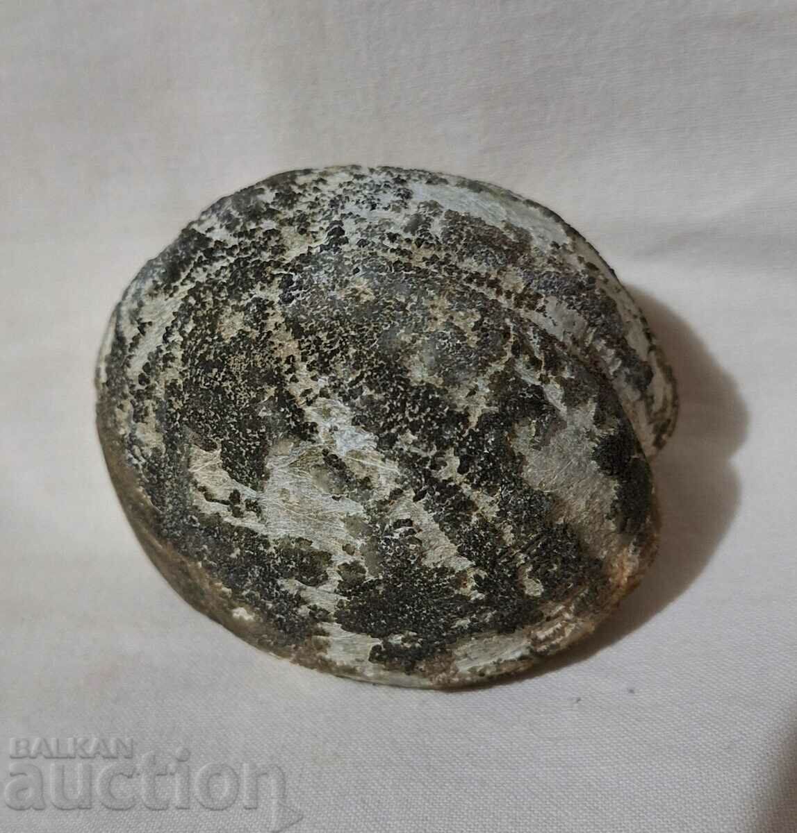 Fossil fossil stone