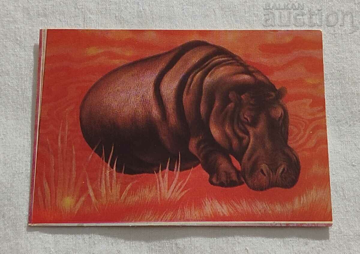 HIPPO CALENDAR 1977