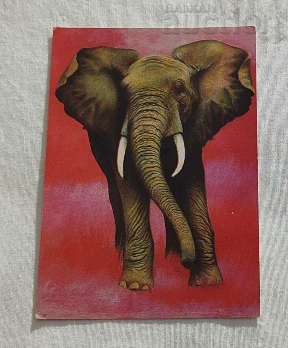 AFRICAN ELEPHANT CALENDAR 1977