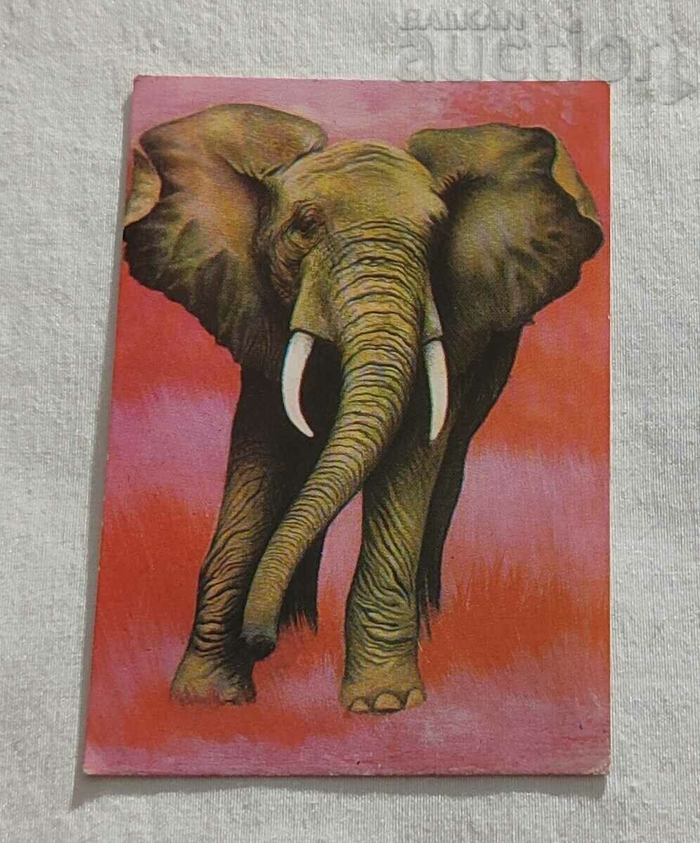 AFRICAN ELEPHANT CALENDAR 1978
