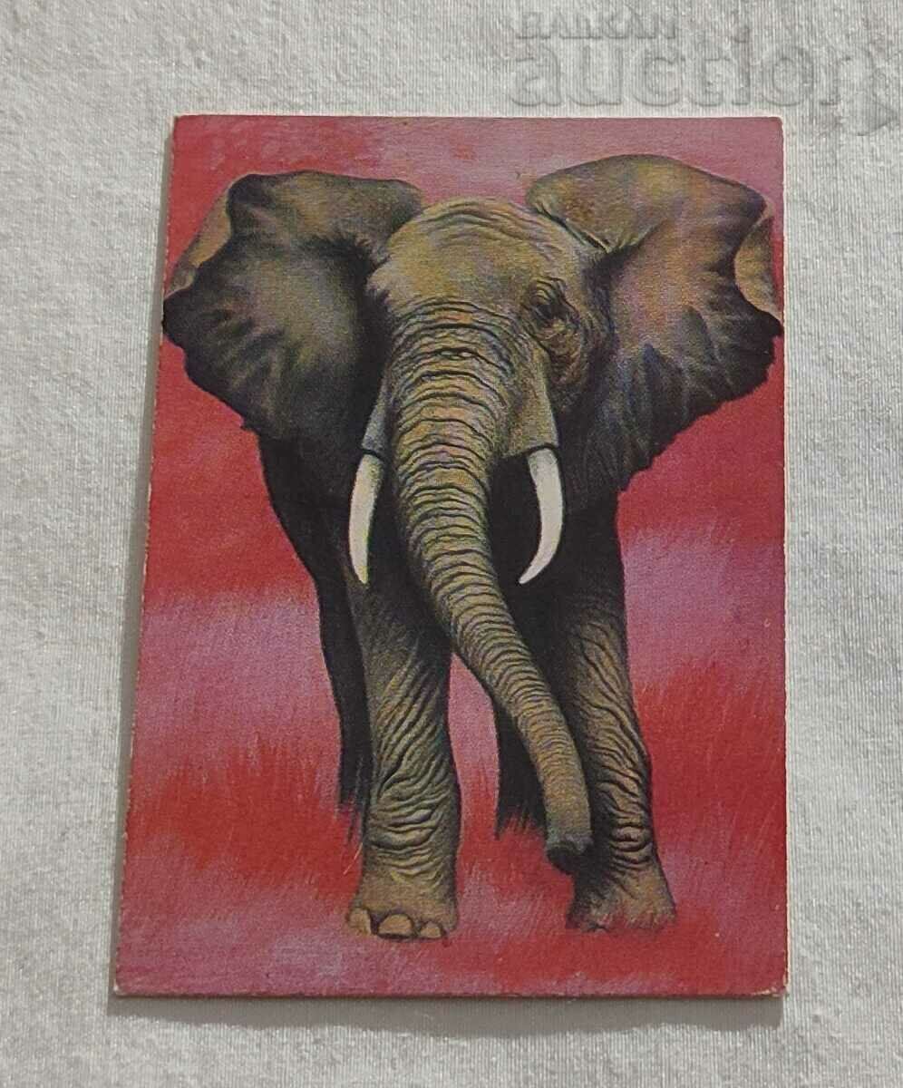 AFRICAN ELEPHANT CALENDAR 1979