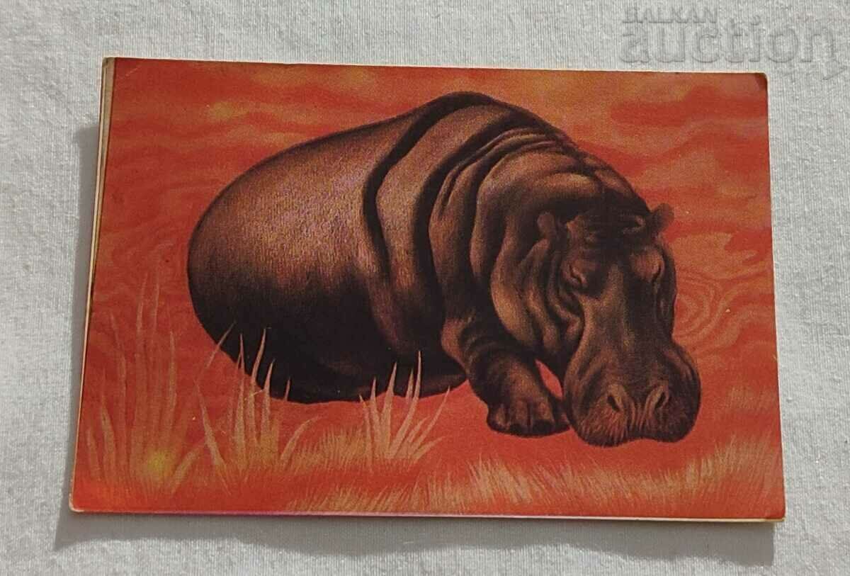 HIPPO CALENDAR 1977