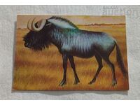 ΗΜΕΡΟΛΟΓΙΟ ΑΝΤΕΛΟΠΗΣ GNU 1977