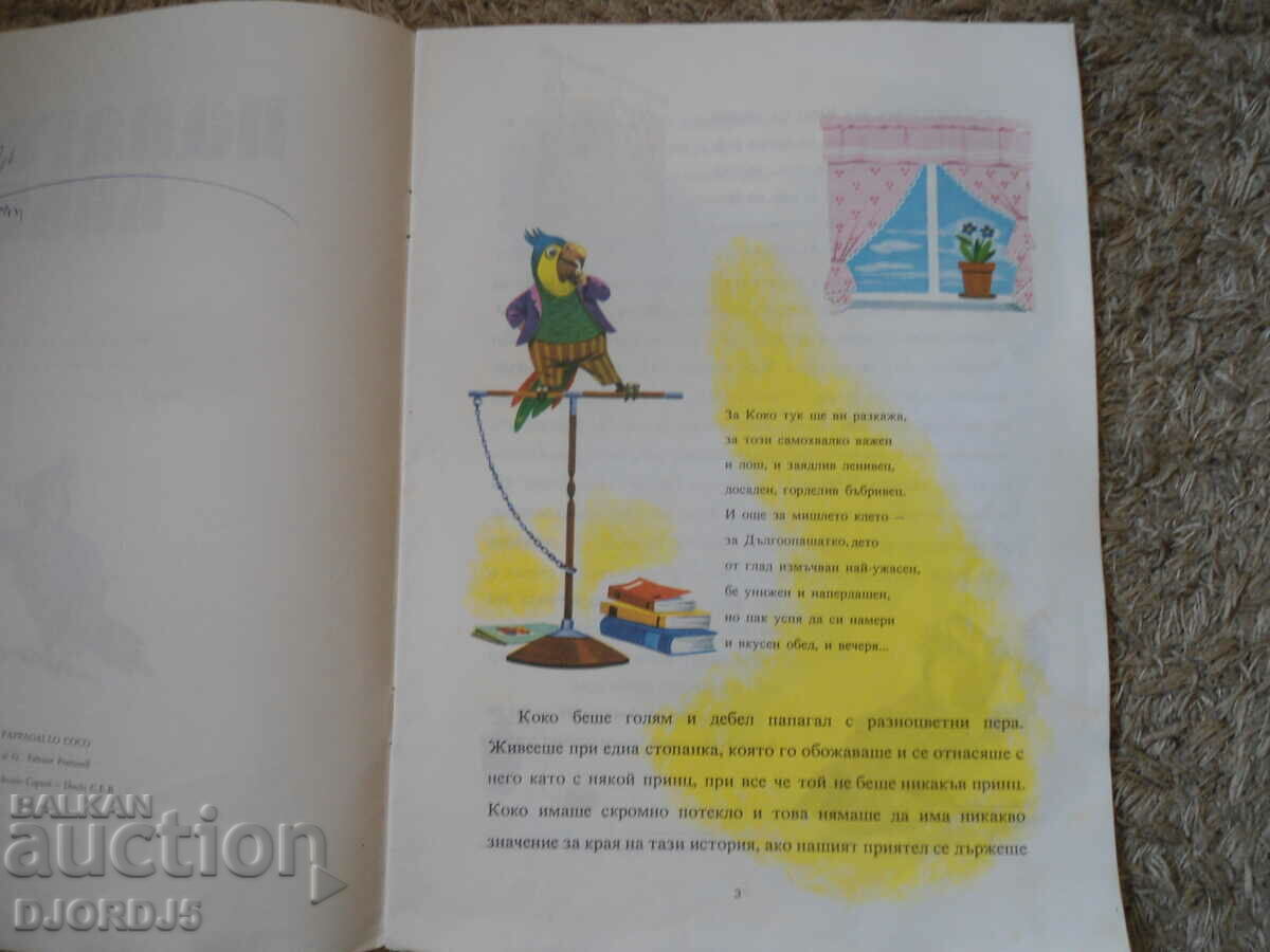 Auction  Coco the parrot