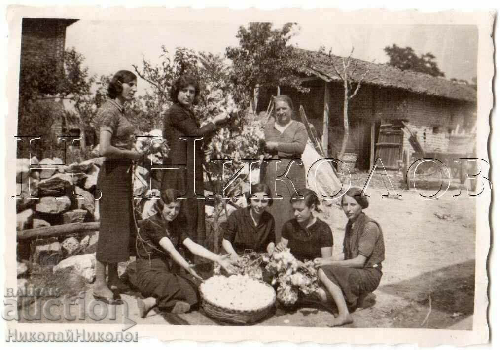 OLD SMALL PHOTO WOMEN GATHERING COTTON G744 OLD SMALL PHOTO WOMEN GATHERING COTTON G744