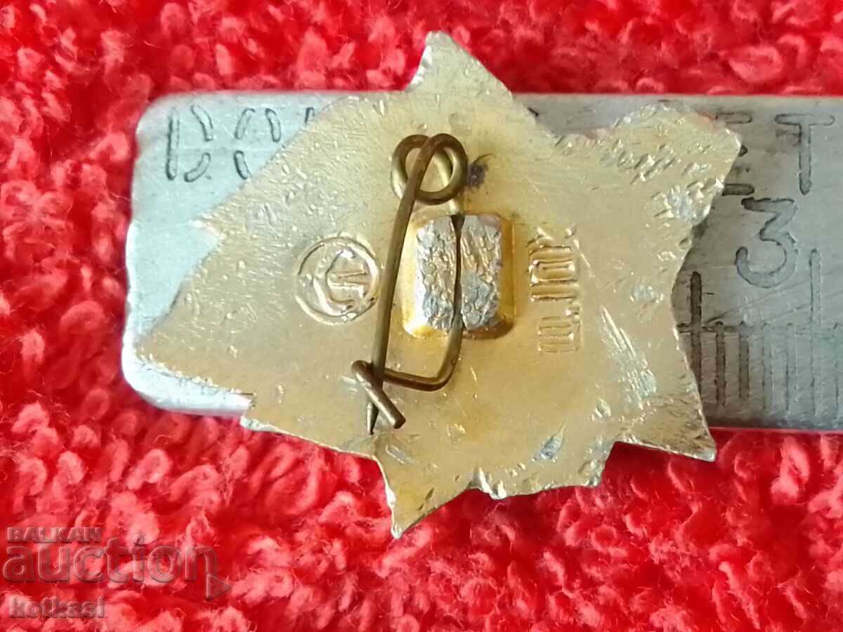 Old metal social badge Vesga ready Lenin with price 2.50 BGN | € 1.28 Old metal social badge Vesga ready Lenin with price 2.50 BGN | € 1.28