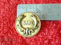 Veche insignă metalică BLRS