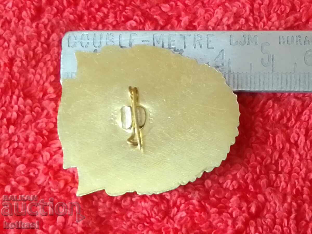 Old metal badge NTP Territory of the youth CHAMPIONSHIP with price 10.50 BGN | € 5.37 Old metal badge NTP Territory of the youth CHAMPIONSHIP with price 10.50 BGN | € 5.37
