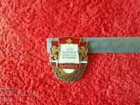 Old metal badge NTP Territory of the youth CHAMPIONSHIP