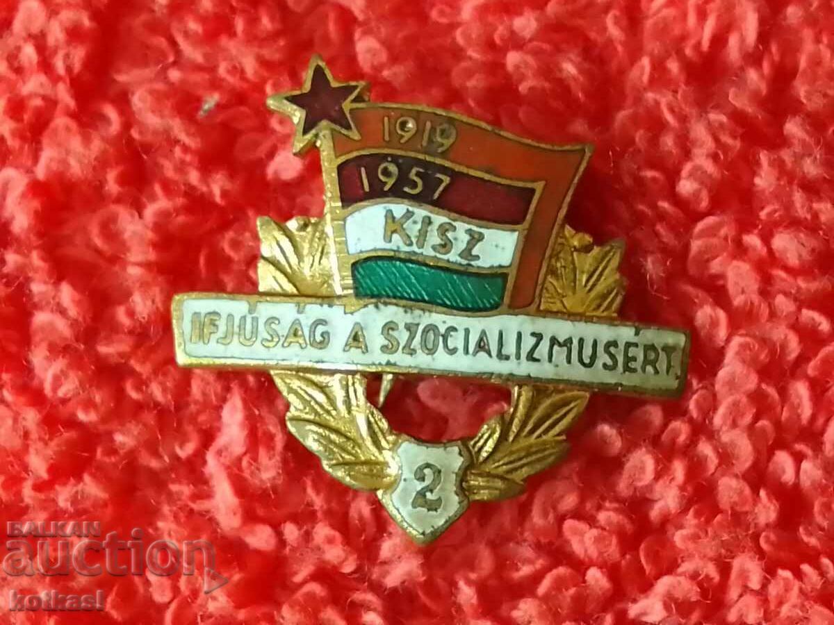 Licitație Veche insignă socială bronz aurit email Ungaria