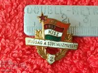 Veche insignă socială bronz aurit email Ungaria