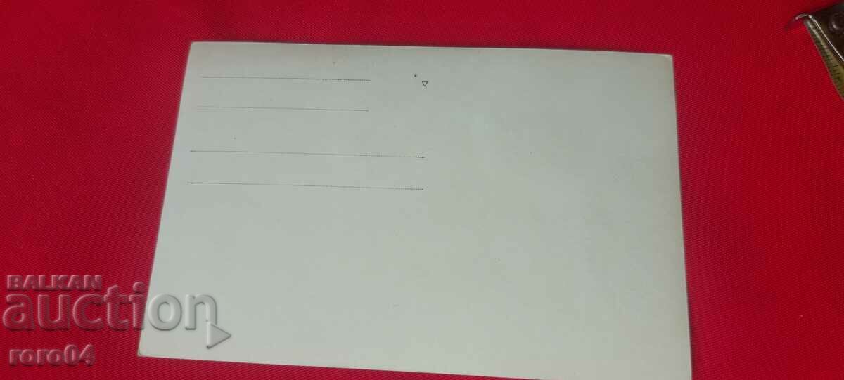 RAKOVSKI - STUDENTS - THE BORIS GARDEN - 5 RAKOVSKI - STUDENTS - THE BORIS GARDEN - 5