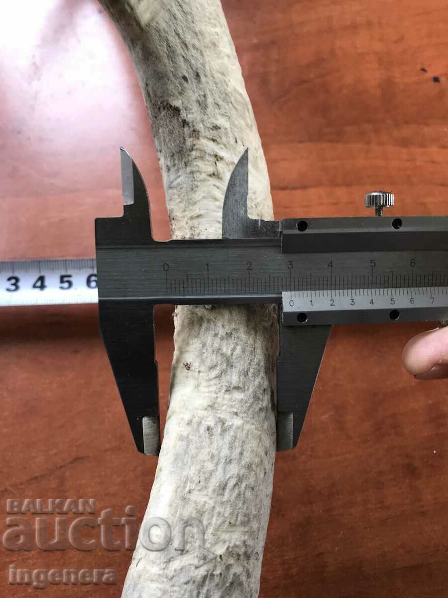 ROG ELENSKI with price 29.00 BGN | € 14.83 ROG ELENSKI with price 29.00 BGN | € 14.83