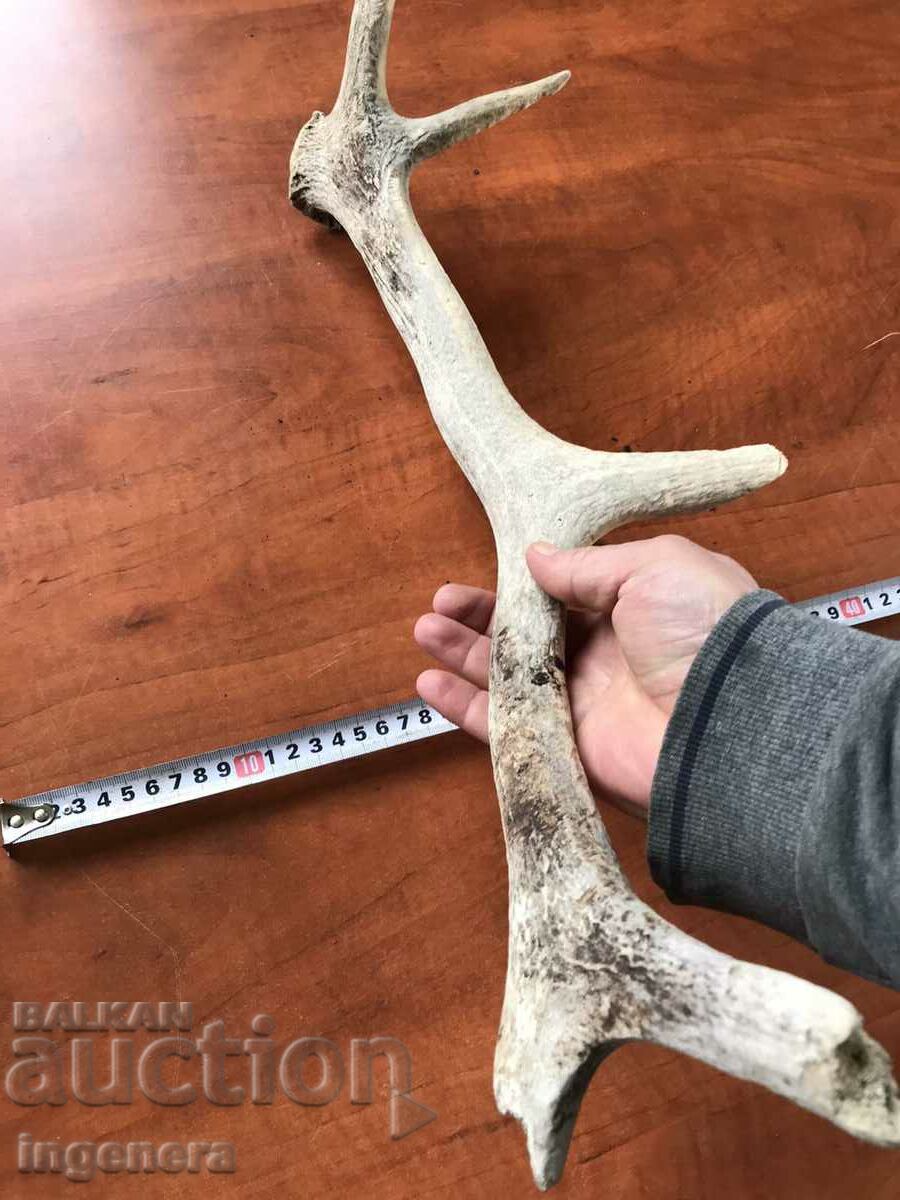 Delivery of ROG ELENSKI Delivery of ROG ELENSKI