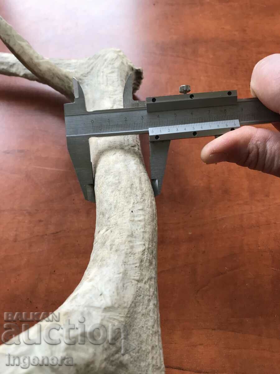 ROG ELENSKI - 5 ROG ELENSKI - 5