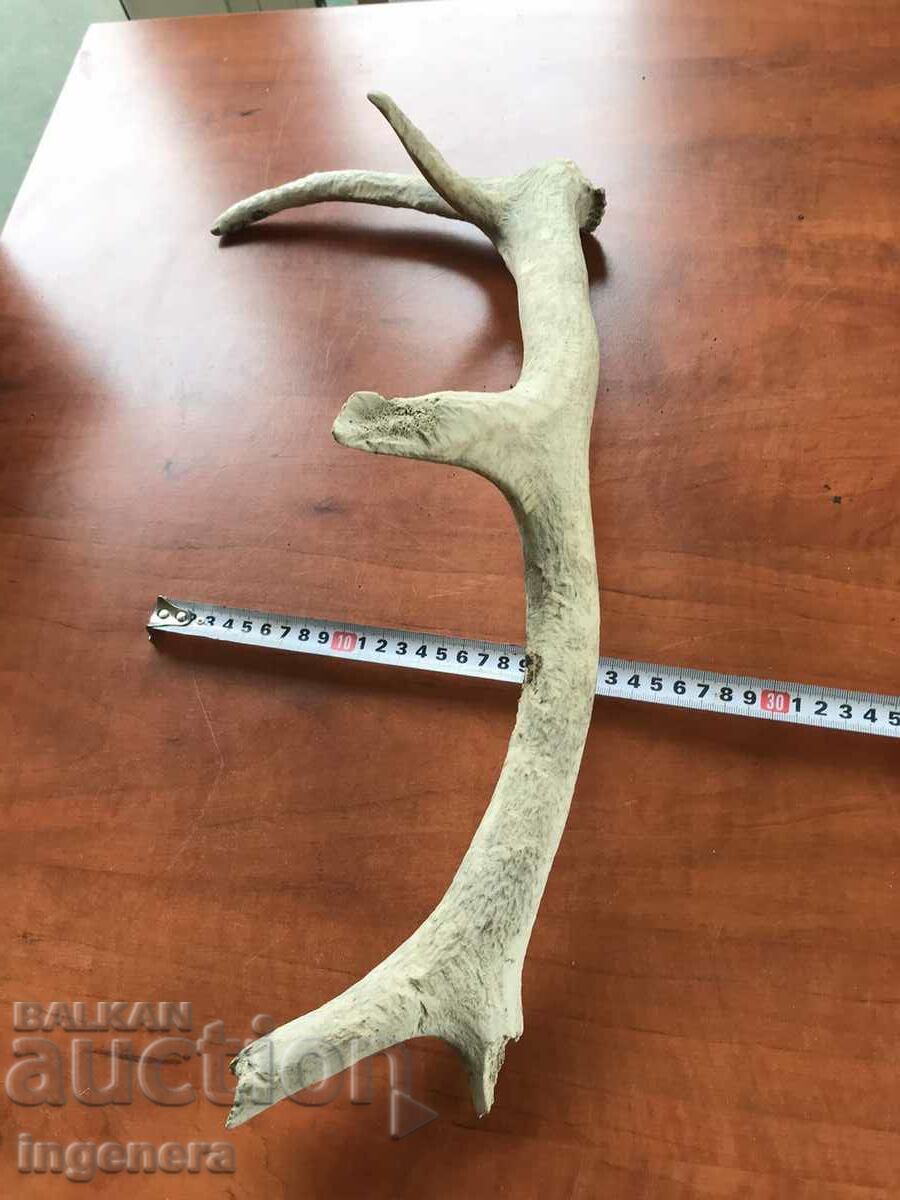 ROG ELENSKI - 6 ROG ELENSKI - 6