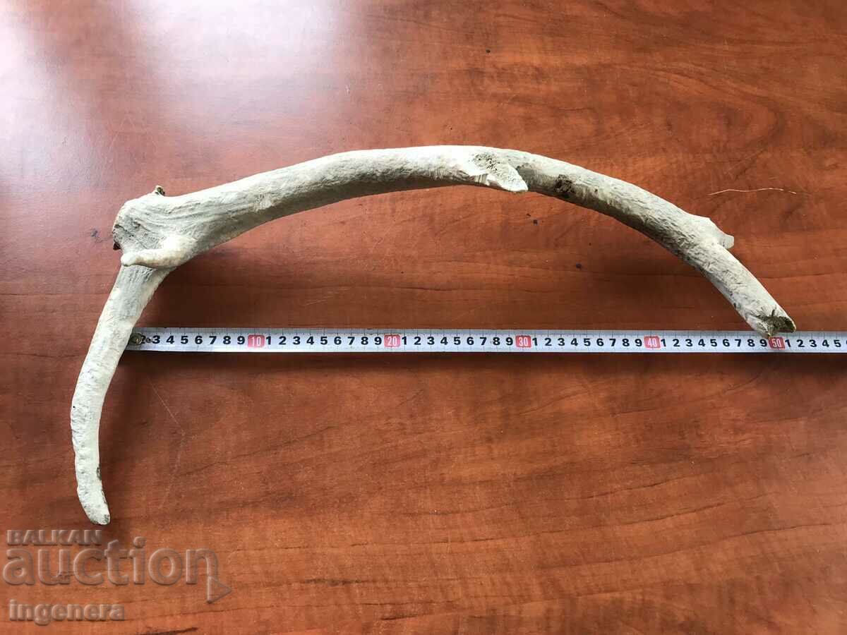 ROG ELENSKI - 7 ROG ELENSKI - 7